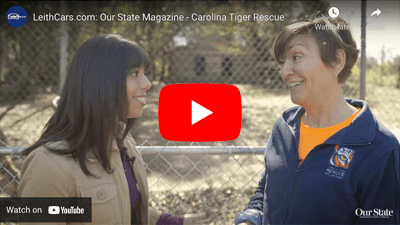 Carolina Tiger Rescue Video