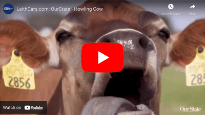 NC State Howling Cow Video