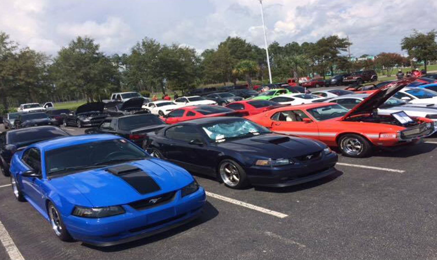 One of many Mustang corrals that sprang-up across the Grand Strand during Mustang Week. 