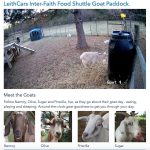 LeithCars.com, You Have Goat to be Kidding Me