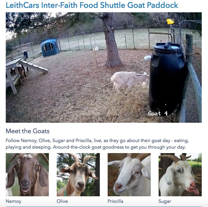 We're excited to partner with Inter-Faith Food Shuttle to further spread the word about this phenomenal organization through the help of their four adorable mascots, Nemoy, Olive, Priscilla, and Sugar. LethCars.com proudly supports Inter-Faith Food Shuttle programs and their mission to feed those in need. Follow the goats live, as they go about their day - eating, playing and sleeping. It's around-the-clock goat goodness to help brighten your day.